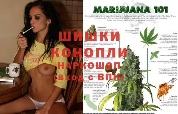 ешки Аркадак