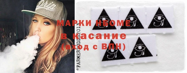 хмурый Арсеньев