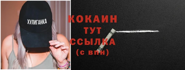 хмурый Протвино