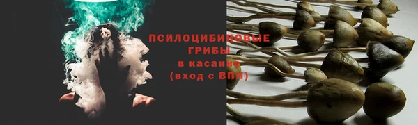 jwh Алзамай