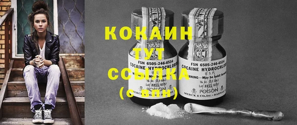 ешки Аркадак