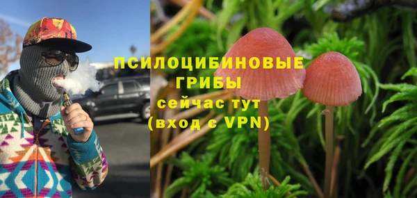 гидропоника Алексин
