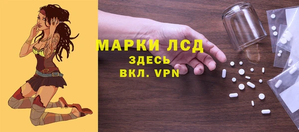 хмурый Арсеньев