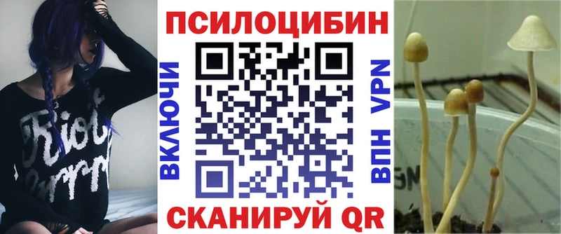 Галлюциногенные грибы MAGIC MUSHROOMS  купить наркотики цена  Бавлы 